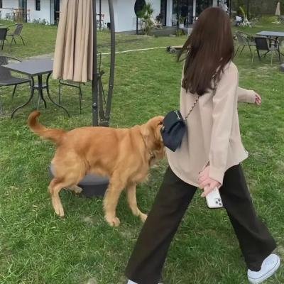 牙狼 炎之刻印封面